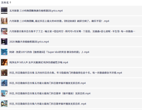 25年抖音热歌车机神曲合集